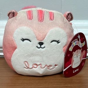 NWT Valentine Edition Squishmallows Lane The ❤️ Raccoon 5” Plush Toy Kellytoy